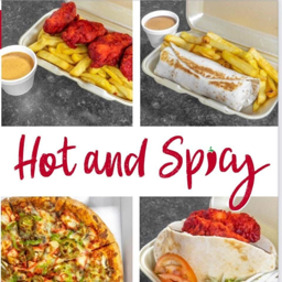 Hot and Spicy Craigavon logo.